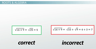 root and algebra -81038088